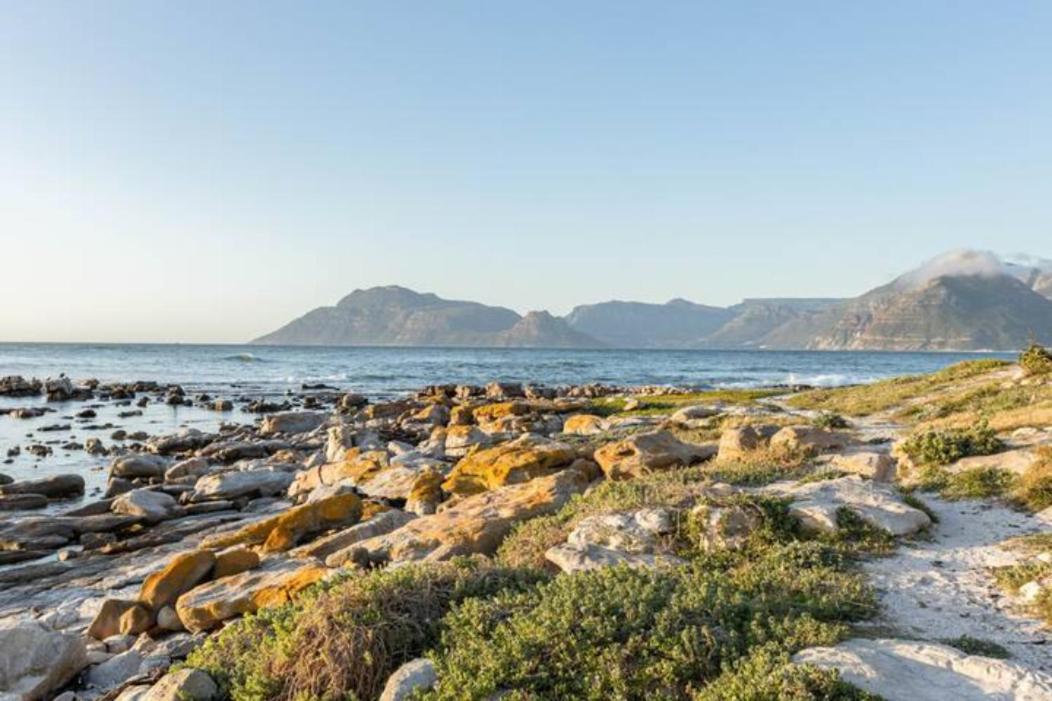Lorelei On The Beach Kommetjie Extérieur photo